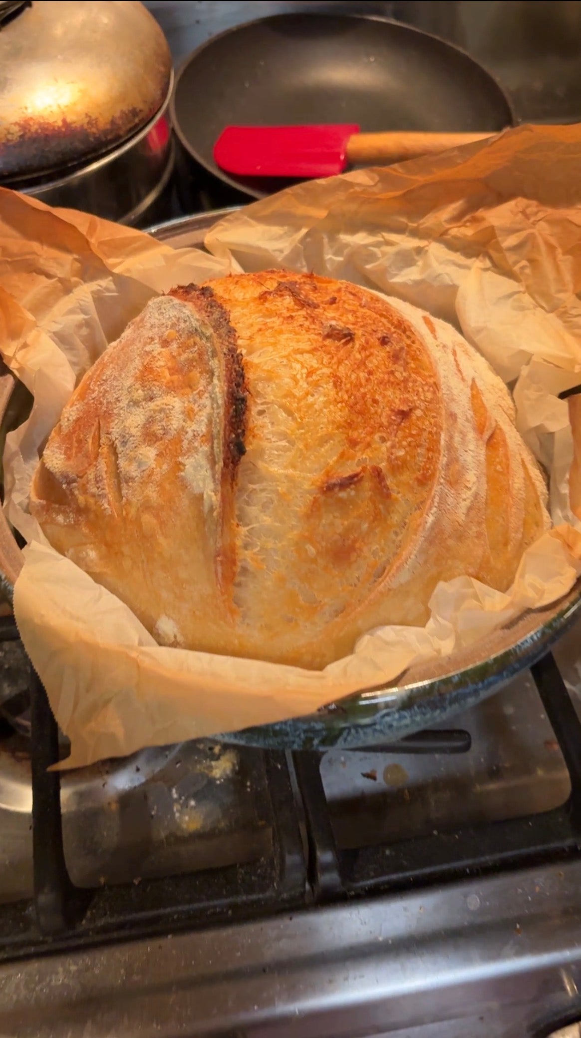 Homemade Sourdough bread