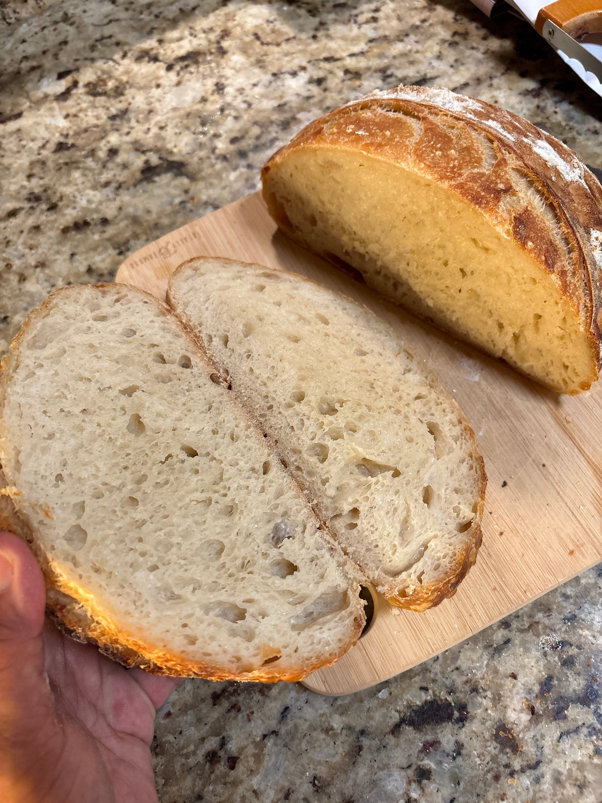 Homemade Sourdough bread