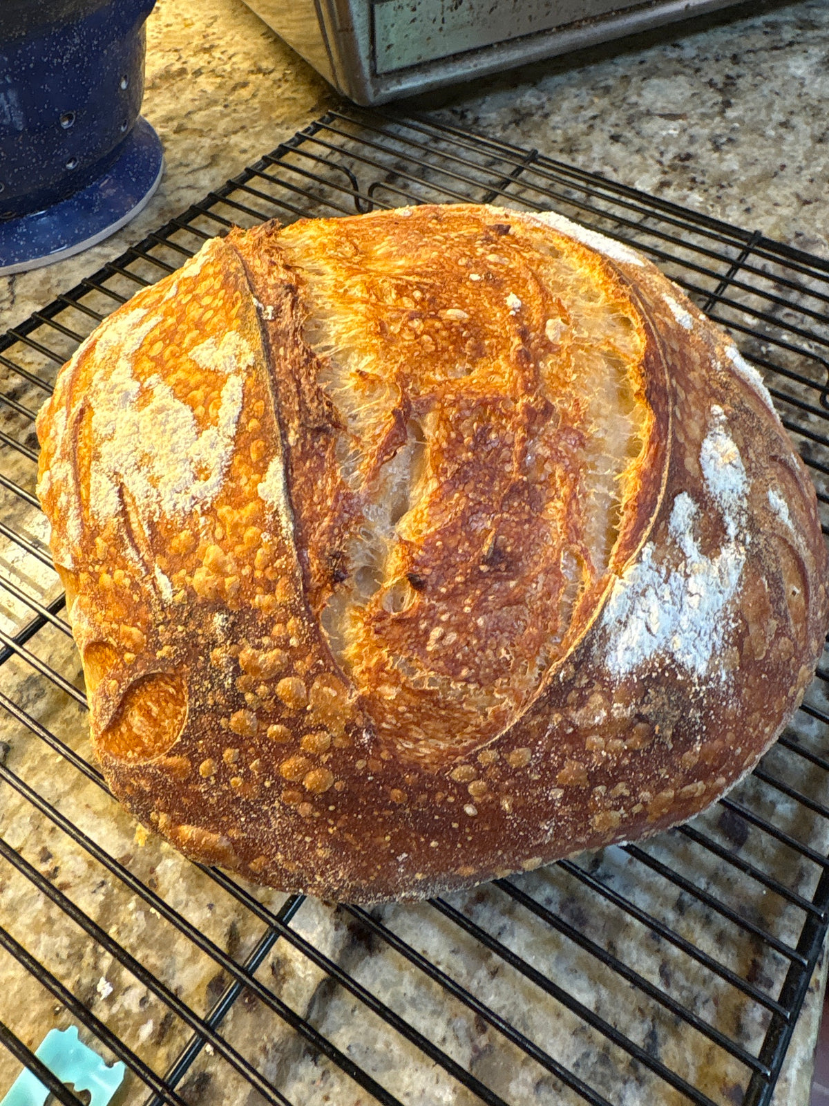 Homemade Sourdough bread